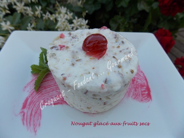 Nougat glacé aux fruits secs DSCN8188