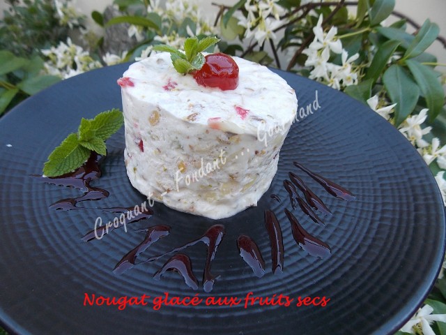 Nougat glacé aux fruits secs DSCN8205