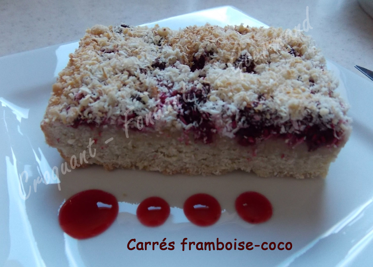 Carrés framboise-coco -DSCN3474_23344