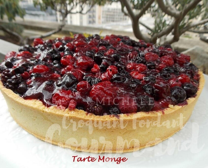 Tarte Monge DSCN9767 (Copy)