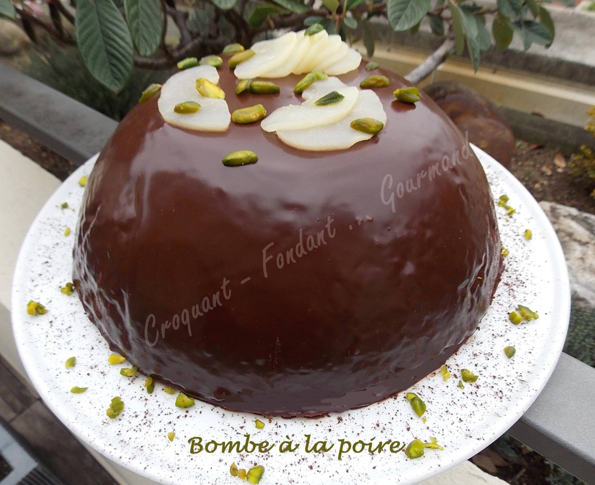 Bombe à la poire DSCN1144