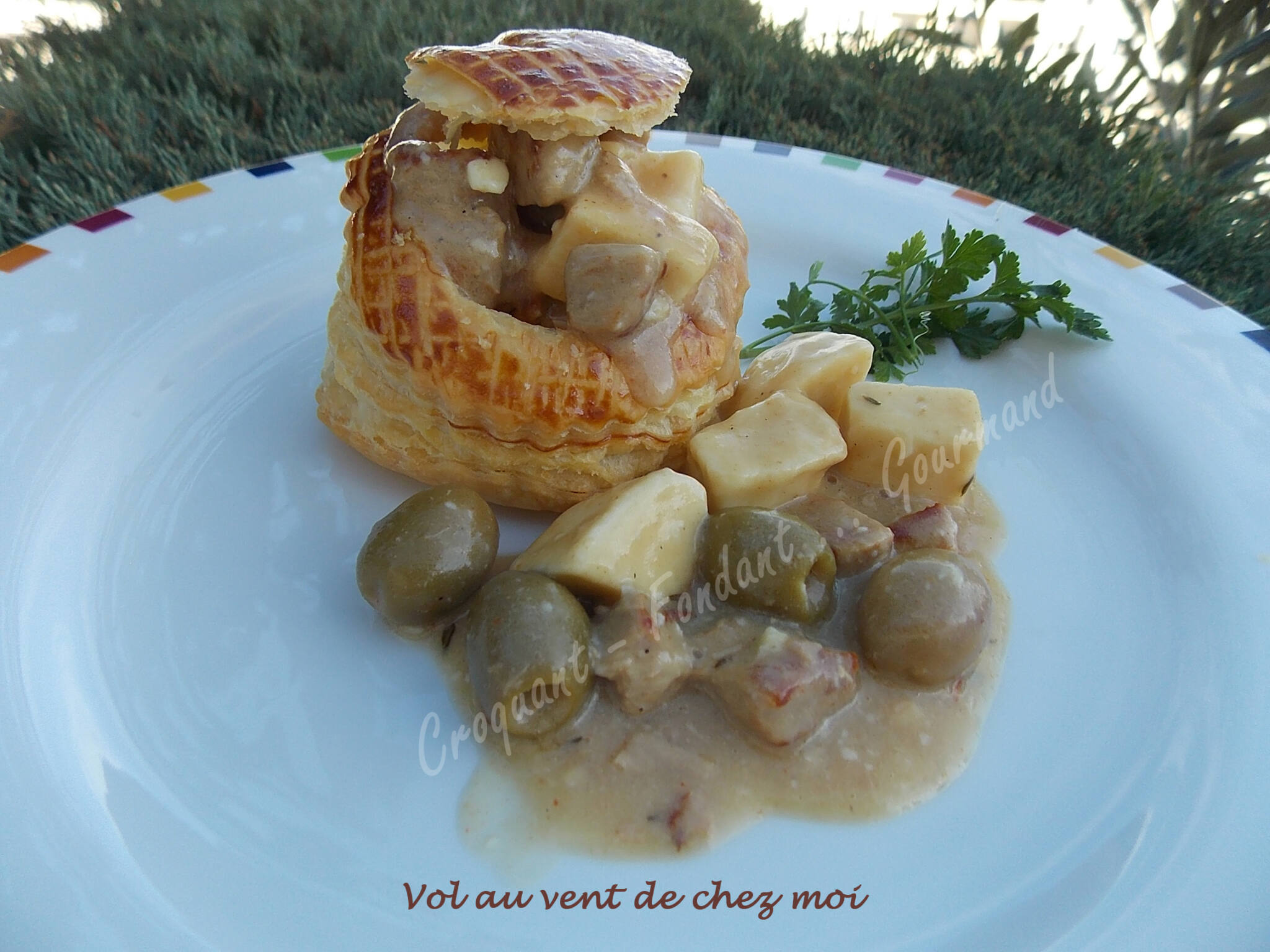 Vol au vent de chez moiDSCN1436