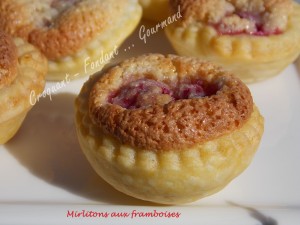 Mirlitons aux framboisesDSCN2928