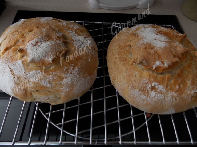 Pain blanc au levain DSCN3154_32937