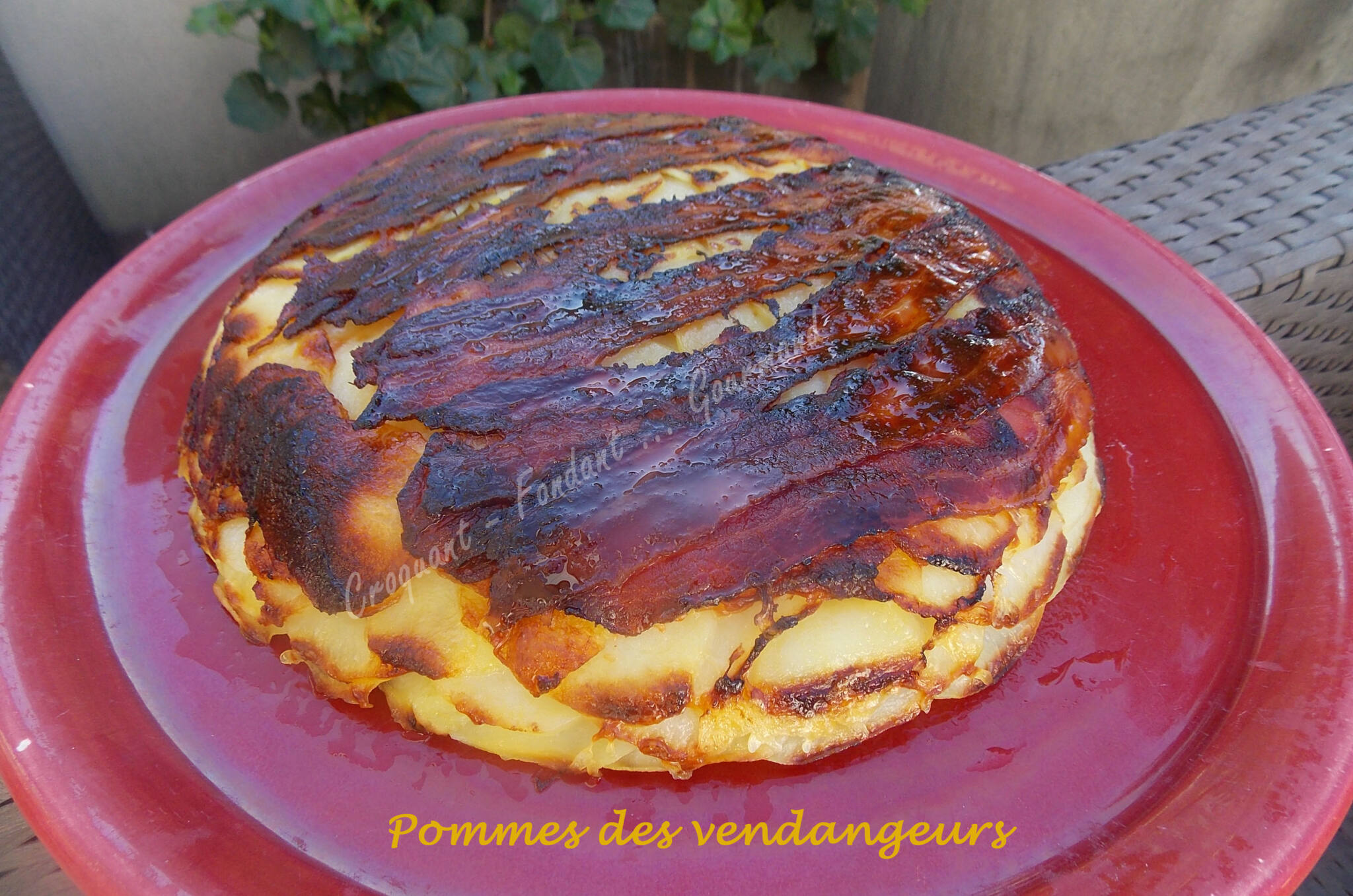 Pommes des vendangeurs DSCN6502