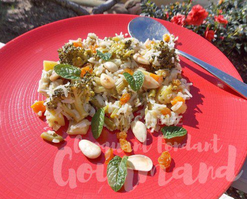 Riz indien aux légumes DSCN3022 (Copy)