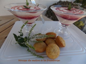 Mousse de melon à la framboise DSCN5625