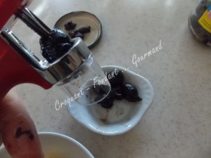 Pannacotta au chèvre et concassée de tomates DSCN5256