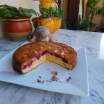 biscuit-aux-fruits-rouges-a-vous-de-jouer-anne-marie-do-portion-24-09-2016