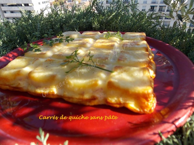 carres-de-quiche-sans-pate-dscn7533