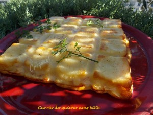 carres-de-quiche-sans-pate-dscn7534