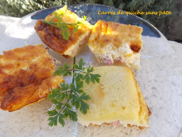 carres-de-quiche-sans-pate-dscn7539