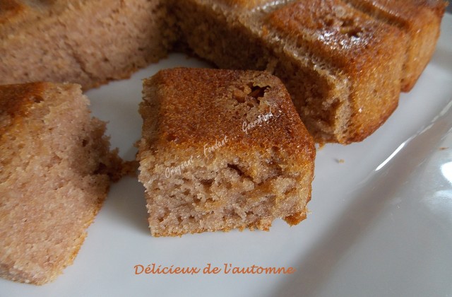 delicieux-de-lautomne-dscn7940