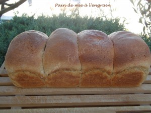 pain-de-mie-a-lengrain-dscn7266