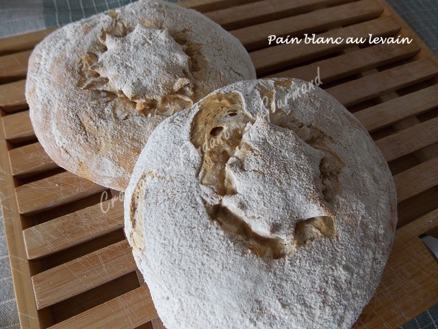 Pain blanc au levain DSCN3097