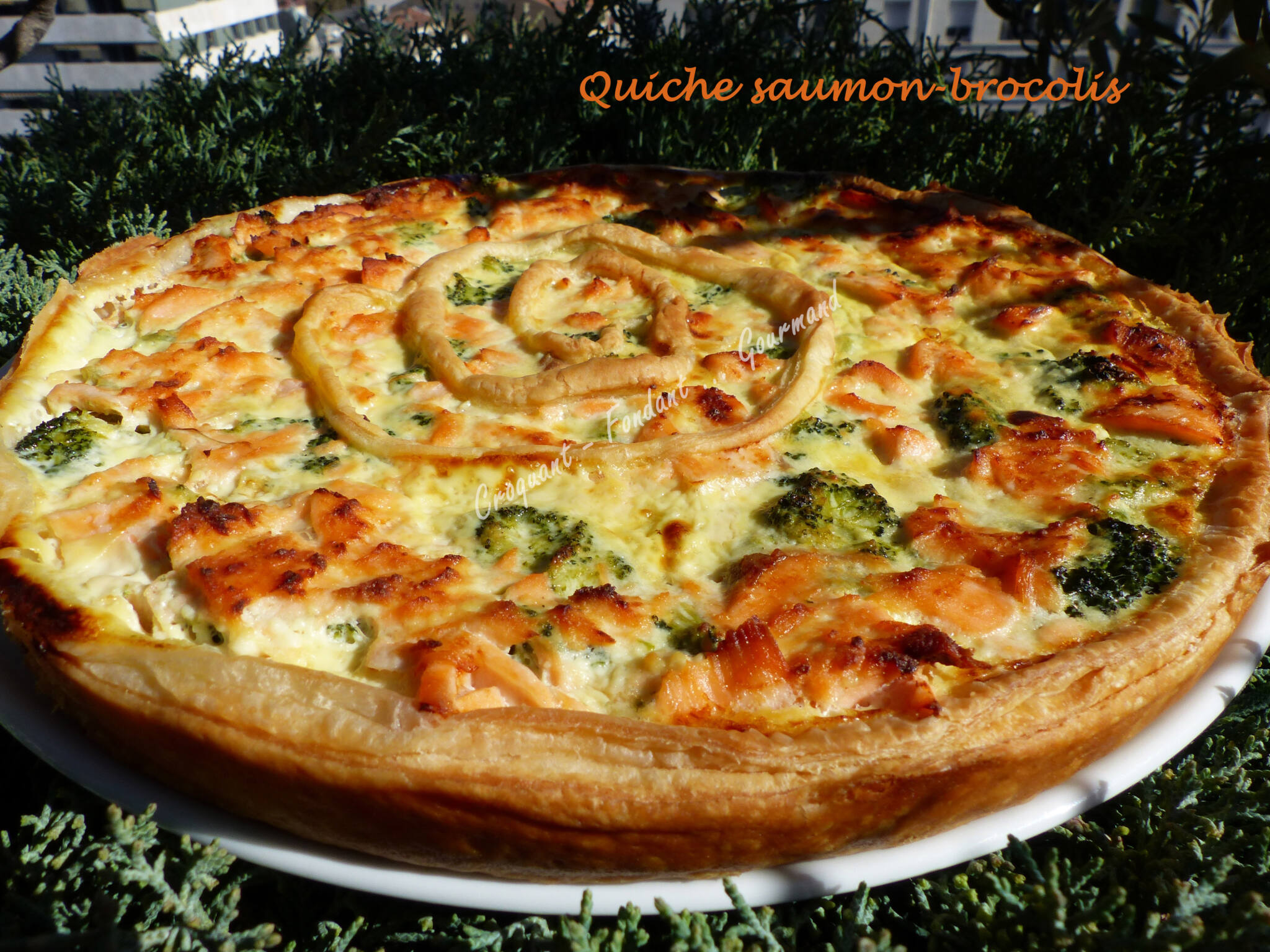 Quiche saumon-brocolis P1010584