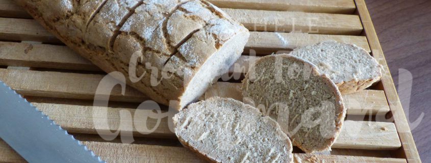 Pain de seigle rustique au Thermomix P1050890