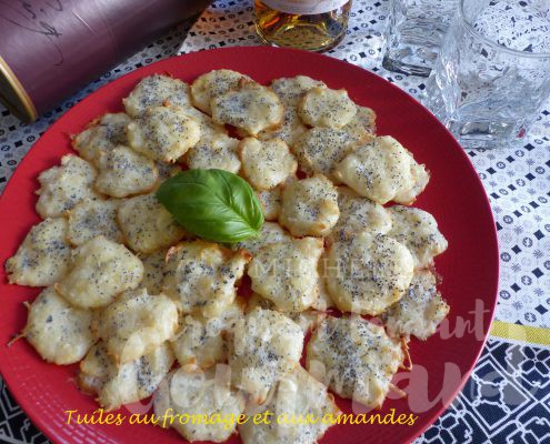 Tuiles au fromage et aux amandes P1090577 R