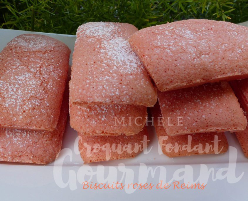 Biscuits roses de Reims P1100483 R