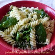 Salade de fusilli aux fines herbes P1110216 R (Copy)