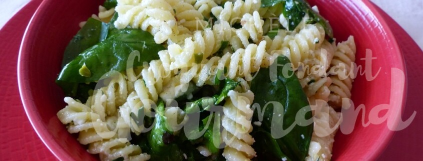 Salade de fusilli aux fines herbes P1110216 R (Copy)