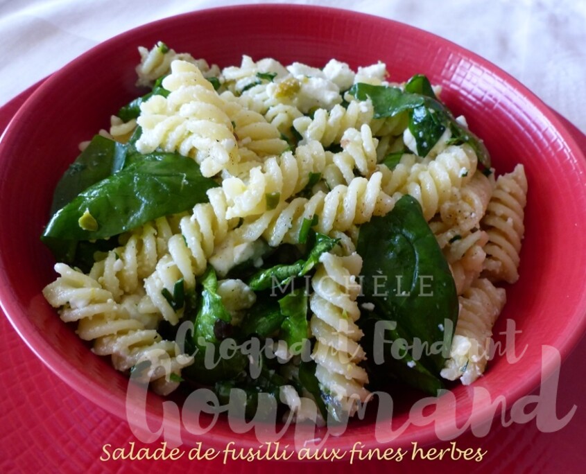 Salade de fusilli aux fines herbes P1110216 R (Copy)