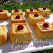 Financiers framboise et citron P1110804 R