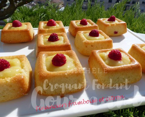 Financiers framboise et citron P1110804 R