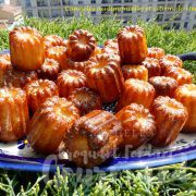 Cannelés au limoncello et citron de Menton P1100758 R