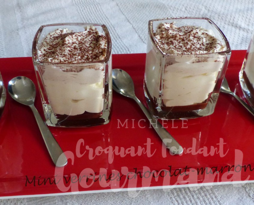 Mini verrines chocolat-marron P1140464 R