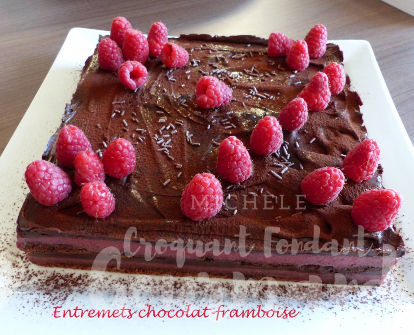 Entremets chocolat-framboise P1180275 R