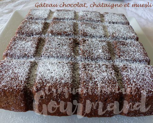 Gâteau chocolat, châtaigne et muesli P1110547 R