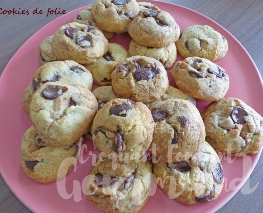 Cookies de folie P1250528 R (Copy)