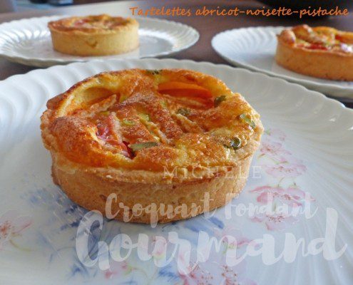 Tartelettes abricot-noisette-pistache P1250438 R (Copy)