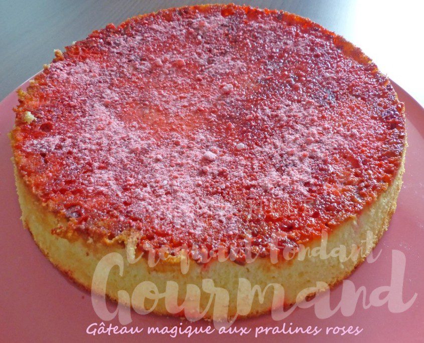 Gâteau magique aux pralines roses P1270236 R (Copy)