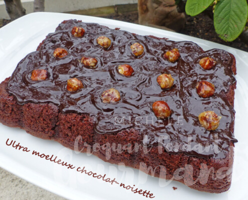Ultra moelleux chocolat-noisette P1260668 R