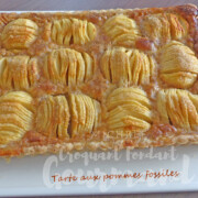 Tarte aux pommes fossiles P1270316 R