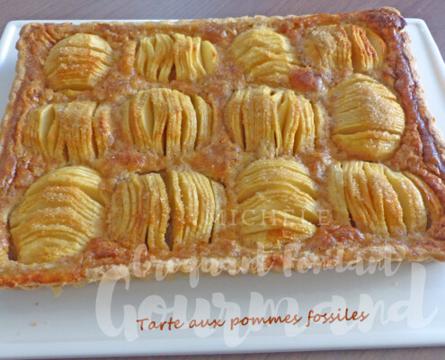 Tarte aux pommes fossiles P1270316 R