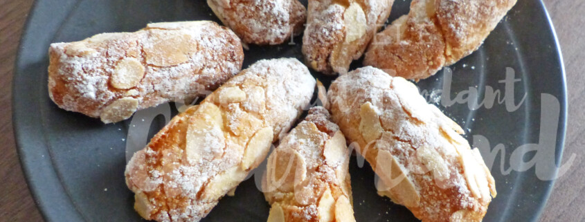 Amaretti au miel et fleur d'oranger P1280320 R