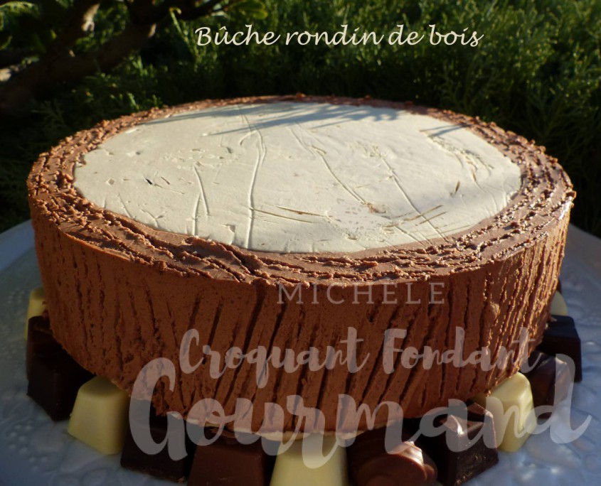 Bûche rondin de bois P1210927 R