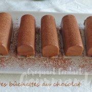 Petites bûchettes au chocolat P1280594 R