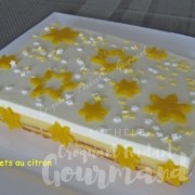 Entremets au citron IMG_4731_23723 R (Copy)