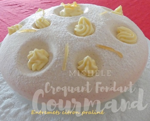 Entremets citron praliné P1040376.psd R (Copy)