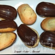 Madeleines citron-chocolat - DSC_2944_456 (Copy)-DSC_2956_468-640x425 (Copy)