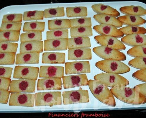 Financiers framboise - DSC_6212_4063.psd R (Copy)