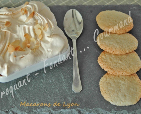 macarons-de-lyon-dsc_0178_18676.psd-r-copy (Copy)