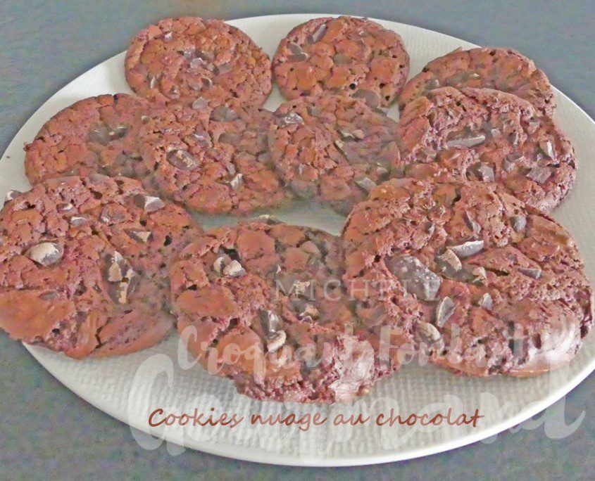 Cookies nuage au chocolat P1070582.psd R (Copy)