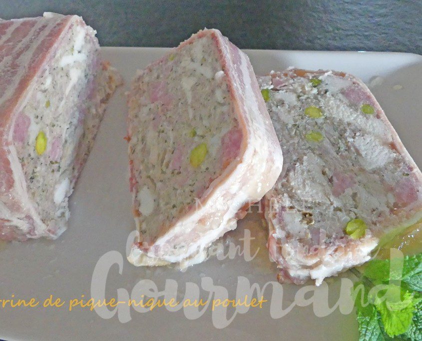 Terrine de pique-nique au poulet P1080197.psd R (Copy)