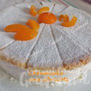 Cheesecake aux abricotsDSCN7398 (Copy).jpgr