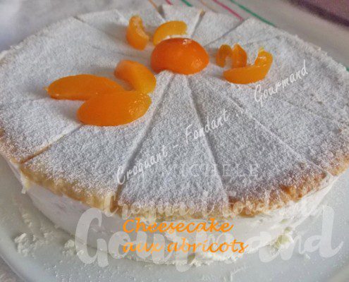 Cheesecake aux abricotsDSCN7398 (Copy).jpgr